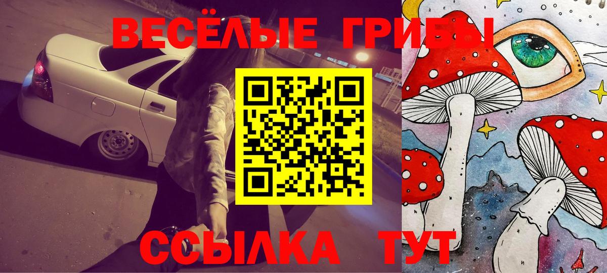 Галлюциногенные грибы MAGIC MUSHROOMS Тулун