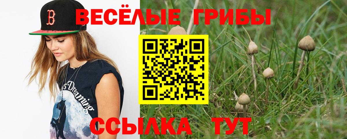 Тулун  Псилоцибиновые грибы Magic Shrooms  Вход с VPN  как найти закладки  Галлюциногенные грибы ЛСД 